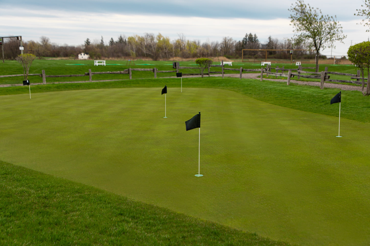Vic Hadfield Golf & Learning Centre photo 7