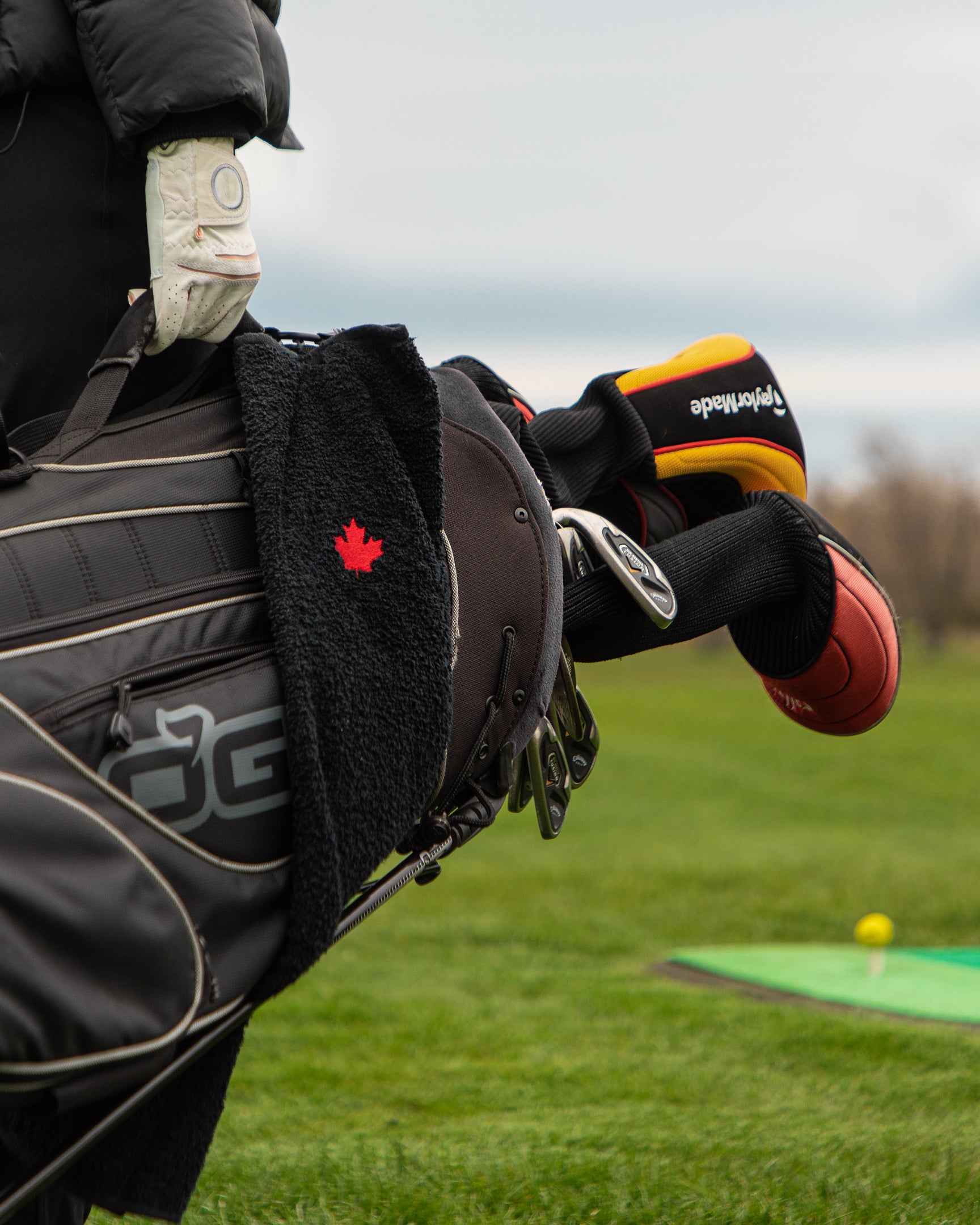Vic Hadfield Golf & Learning Centre photo 6